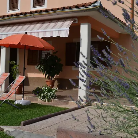Doli Apartment Nedescina