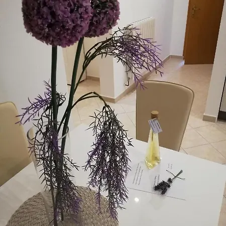Doli Nedescina