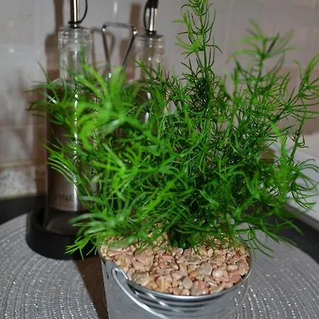 Apartamento Doli Nedeščina