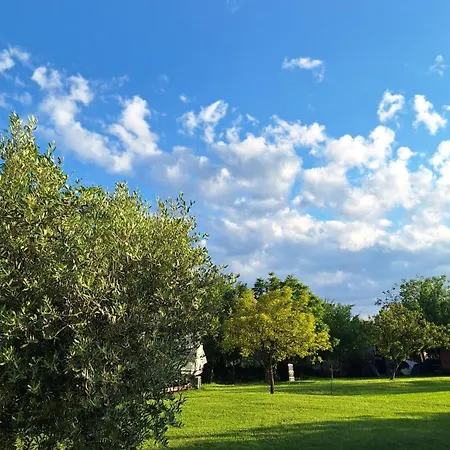 Doli Apartamento Nedeščina