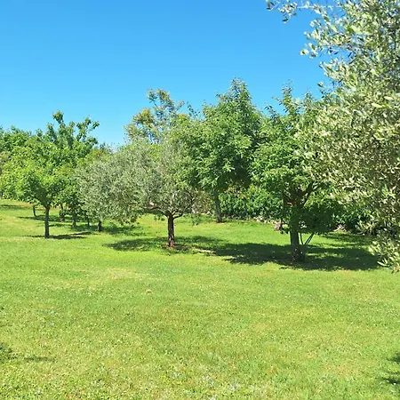 Doli Apartment Nedescina